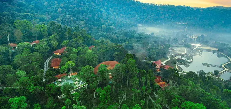 Coffee-Estates-and-Forested-Landscapes