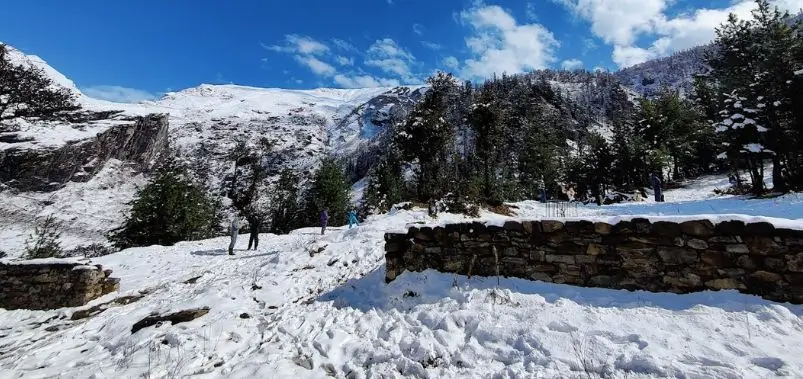 Gulaba