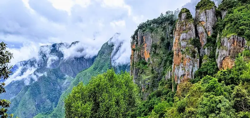 Kodaikanal - Misty Forests