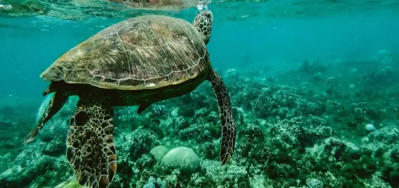 Marine National Park