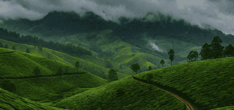 Munnar - Monsoon Beauty