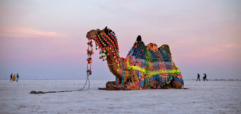 Rann-of-Kutch