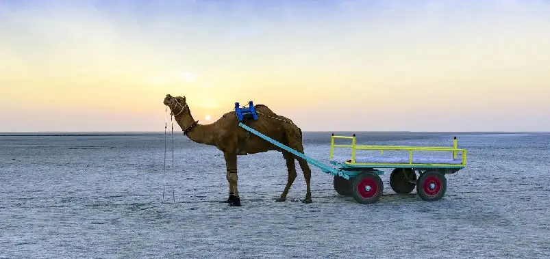 The Great Rann of Kutch