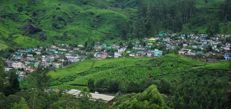 The-Serene-Paradise-Near-Munnar
