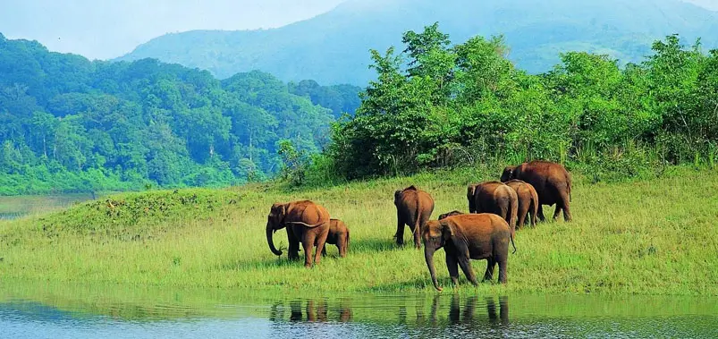 Thekkady