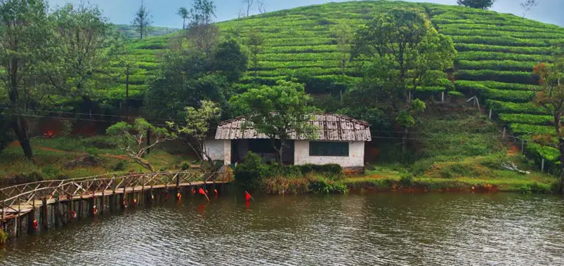 Vagamon-Keralas-Rolling-Meadow-Paradise