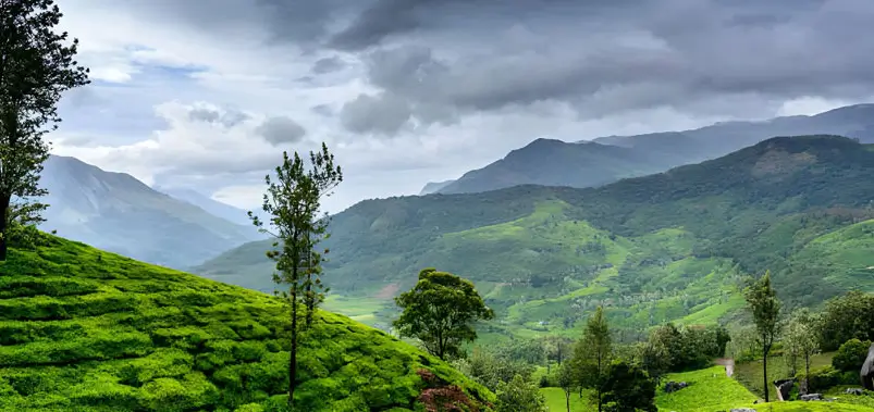 WAYANAD