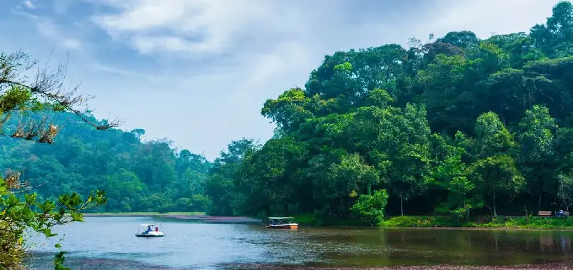 Wayanad - Kerala