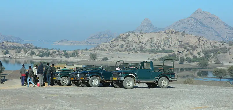 best resort in jawai