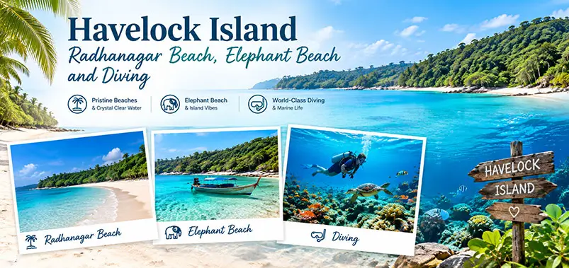 Havelock Island: Radhanagar Beach, Elephant Beach and Diving
