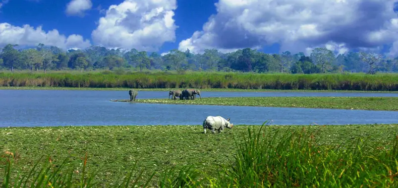 kaziranga-national-park